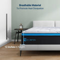 Avenco 12 inch Hybrid Mattress Innerspring and Gel Memory Foam in Camcorder Box California King